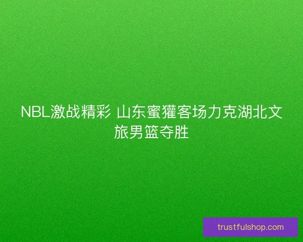 NBL激战精彩 山东蜜獾客场力克湖北文旅男篮夺胜 NBL激战精彩 山东蜜獾客场力克湖北文旅男篮夺胜